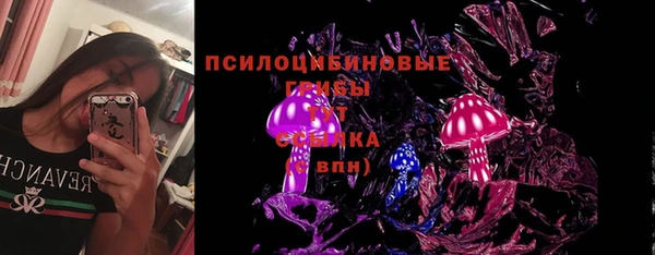 spice Армянск