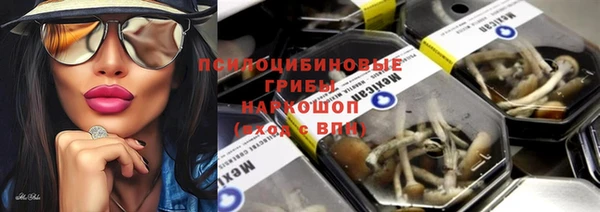 круглые Аркадак