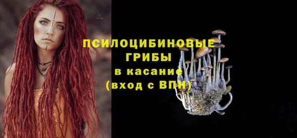 spice Армянск