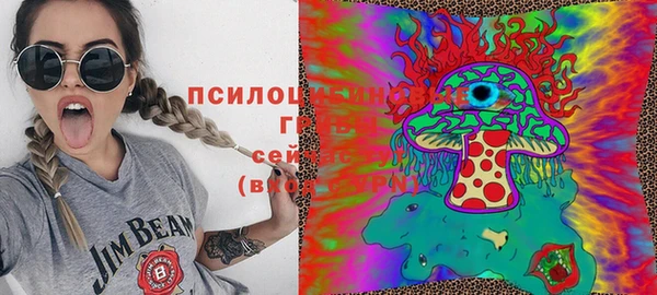 круглые Аркадак
