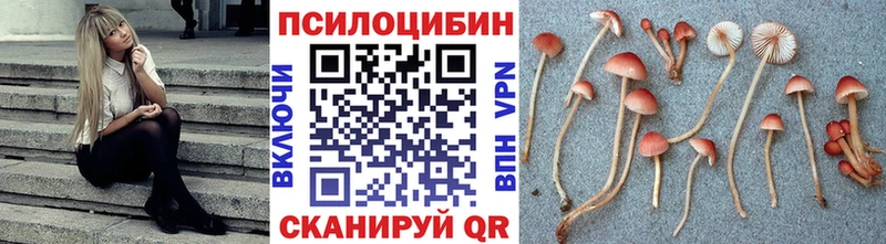 Галлюциногенные грибы мухоморы  hydra ссылка  Жигулёвск 